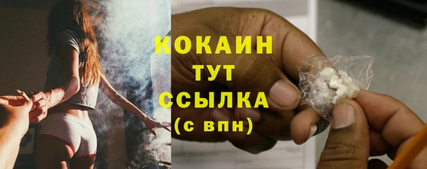 первитин Няндома