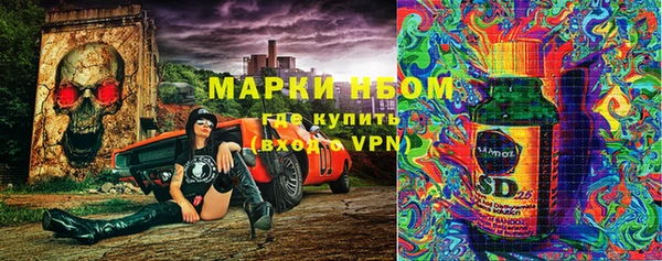 первитин Няндома