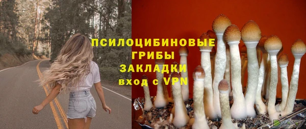 сатива Нягань