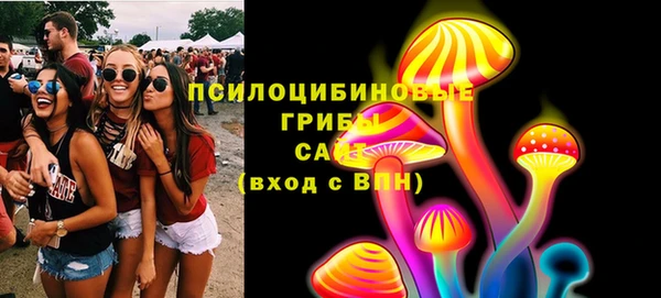 ECSTASY Дмитриев