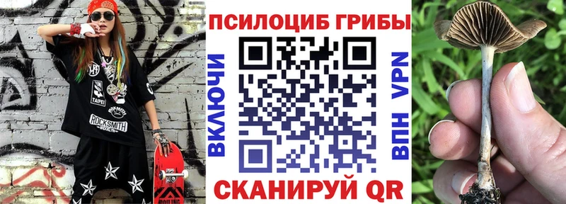 Псилоцибиновые грибы прущие грибы Кропоткин