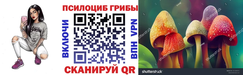 Галлюциногенные грибы мицелий Кропоткин