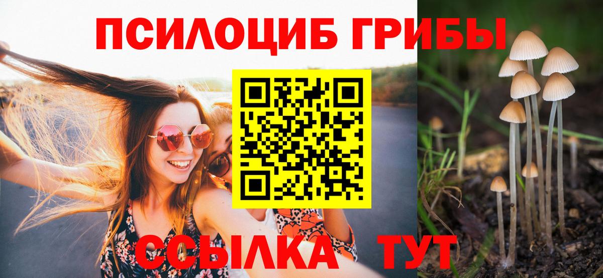 сколько стоит  Кропоткин  Псилоцибиновые грибы Cubensis  Псилоцибиновые грибы GOLDEN TEACHER 