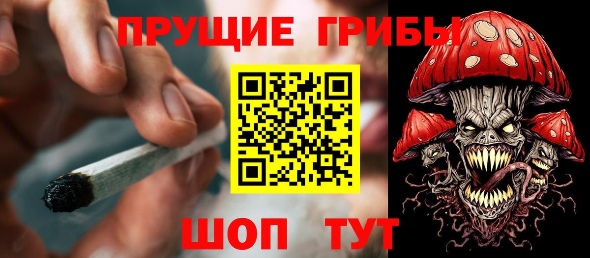 Кропоткин  Галлюциногенные грибы Psilocybe  цены   Вход с VPN 