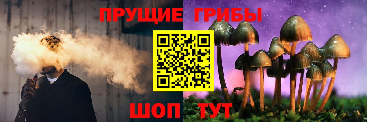 Псилоцибиновые грибы мухоморы Кропоткин